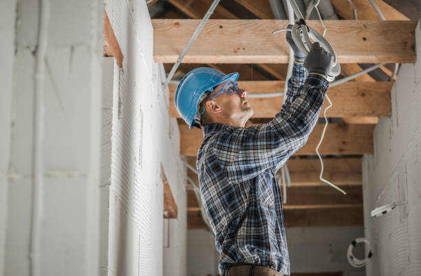 Best Electrician Near Me  in Louisburg, KS