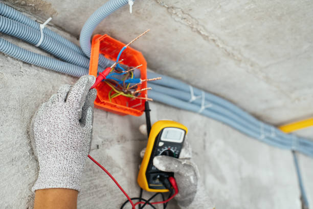 Best Electric Panel Repair  in Louisburg, KS